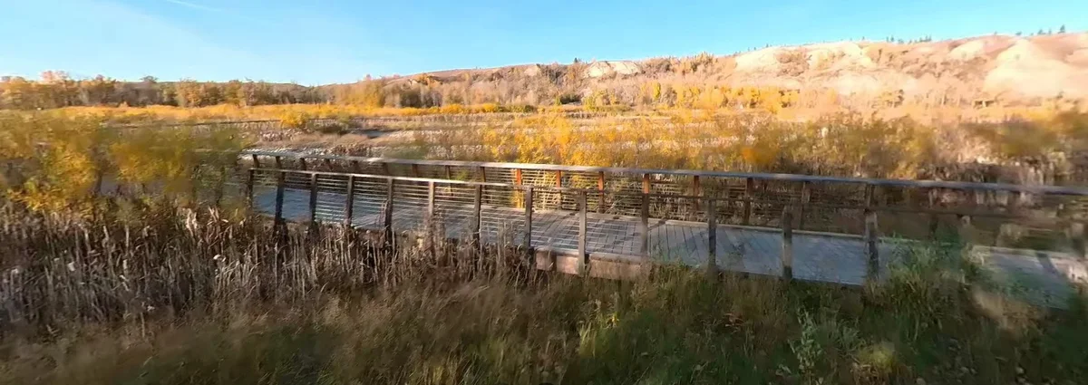 A bridge over the wetlands at Dale Hodges Park