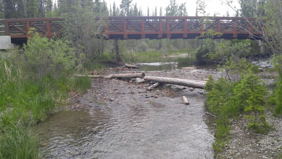 Bridge and water at Griffith Woods Park
